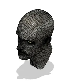Sample human head