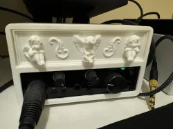 Scarlet Solo Angel Case