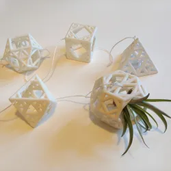 Sierpinski Geometric Plant Hangers