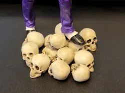 Skull in 7inch and 6inch scale
