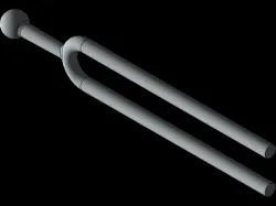 Tuning fork Exercise for Simulation
