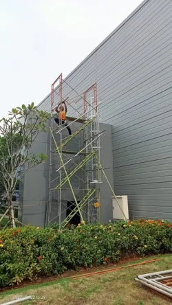 Wall Ladder