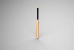 BASEBALL BAT