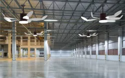 Ceiling Fan