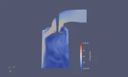 Leyland Mini Inlet Channel CFD Simulation