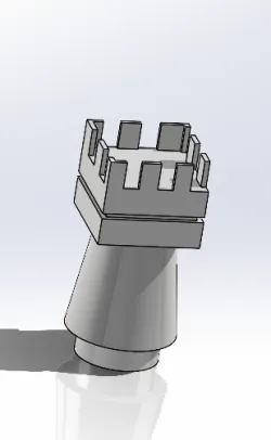 Rook