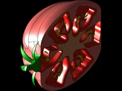 3D Tomato Slice