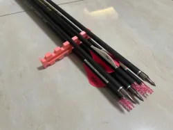 Arrow holder