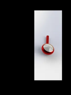 Earphone