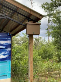 Honey Bee Swarm Trap