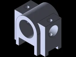 practice model