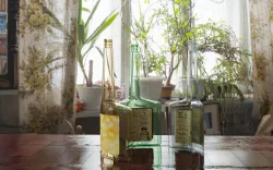 RARE BOTTLE 20220621-01