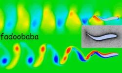 Saithe Fish (For CFD)