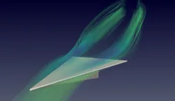 Slender Delta Wings