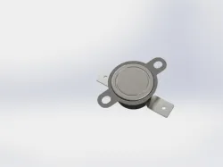 thermoswitch