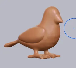 Base Bird