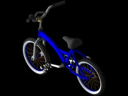 BICYCLE MODEL