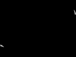 Compression Spring