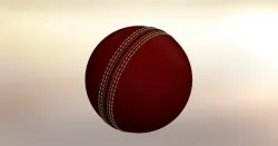 CRICKET BALL - KOOKABURRA