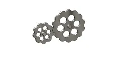 Cycloidal Gear