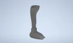 Leg Brace (Orthopedic)