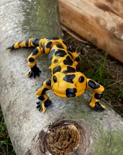 Movable figure of the salamander toy / print in place body ball joints