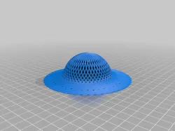 Rosettes Hat