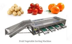 Sorting Conveyor Fruit Vegetable