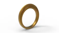 Specialized Ring 2