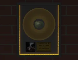 Vinyl Record
