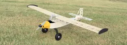 Bird Dog 2.0 RC Model Plane