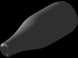 Bottle