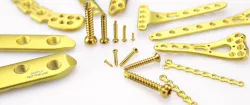 Cortex Screw