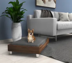 Dog bed