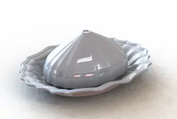 kitchen oiler
