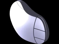 Mouse Model