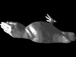 Pigeon/ Parrot Hand as beak