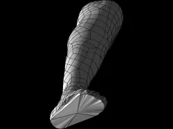 Right Foot