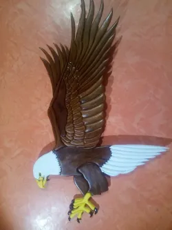 aigle