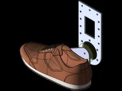 ankle