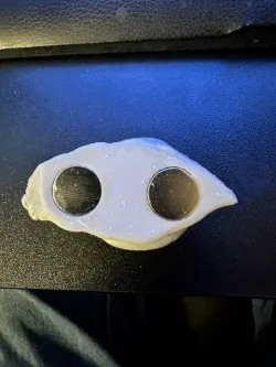 Magnetic Snail