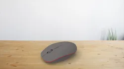 Mouse