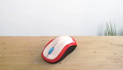 mouse