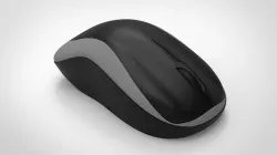 Mouse