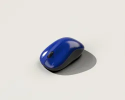 Mouse