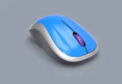 Mouse