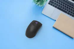 mouse