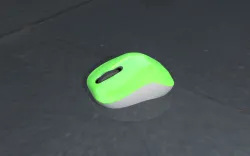 Mouse