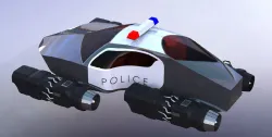 police fly car