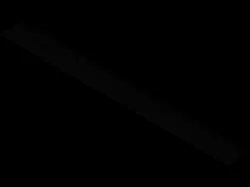 Ruler